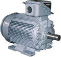 21-FII Series Motors