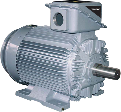 21-FII Series Motors