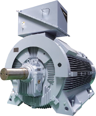 Custom-Designed Induction Motors