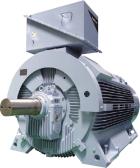 Custom-Designed Induction Motors